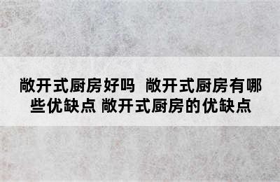 敞开式厨房好吗  敞开式厨房有哪些优缺点 敞开式厨房的优缺点